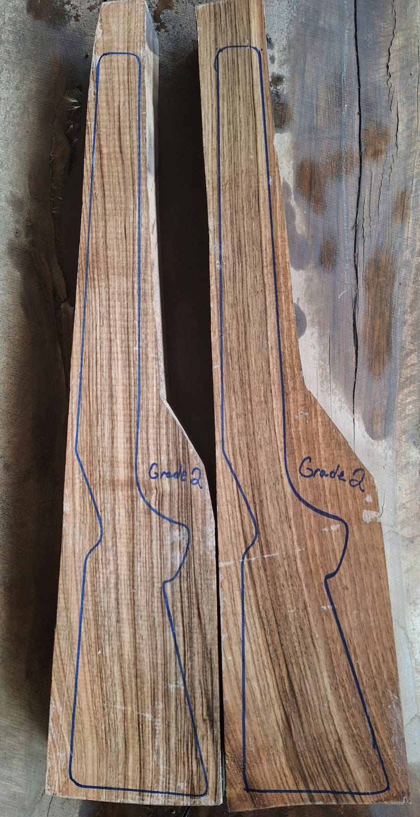 Grade 2 Caucasian Walnut Rifle Blanks (Premium Production)
